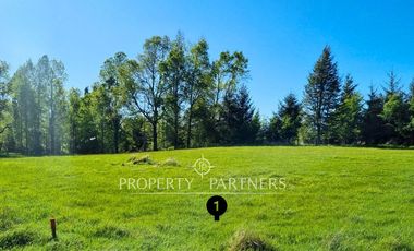 Parcela Panguipulli sector Los Tallos en Loteo con Portón de acceso