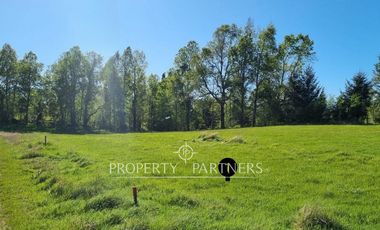 Parcela Panguipulli sector Los Tallos en Loteo con Portón de acceso