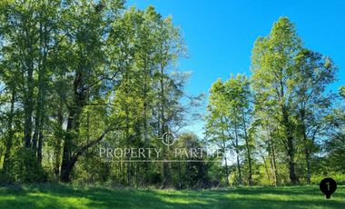 Parcela Panguipulli sector Los Tallos en Loteo con Portón de acceso