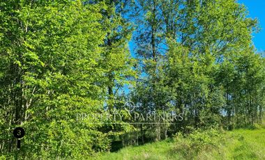 Parcela Panguipulli sector Los Tallos en Loteo con Portón de acceso lote 3