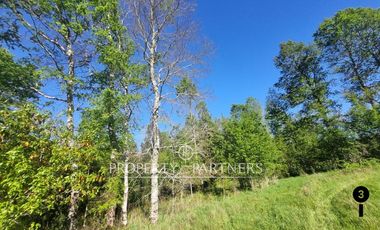 Parcela Panguipulli sector Los Tallos en Loteo con Portón de acceso lote 3