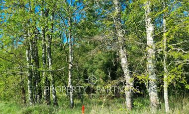 Parcela Panguipulli sector Los Tallos en Loteo con Portón de acceso lote 3