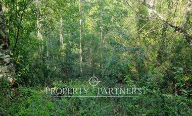 Parcela Panguipulli sector Los Tallos en Loteo con Portón de acceso lote 3