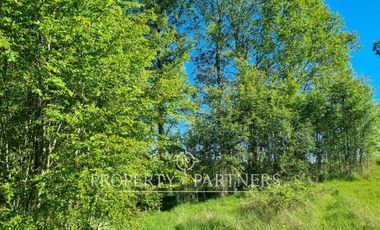 Parcela Panguipulli sector Los Tallos en Loteo con Portón de acceso lote 3