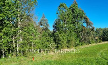 Parcela Panguipulli sector Los Tallos en Loteo con Portón de acceso lote 3