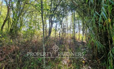 Parcela Panguipulli sector Los Tallos en Loteo con Portón de acceso lote 3