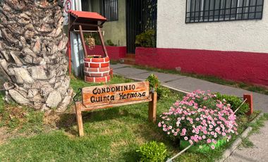 Departamento 2D 1B – Sector Residencial, Buena conectividad.