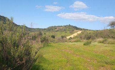 Sitio en Venta en I-566