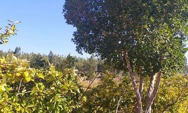 Sitio en Venta en I-566