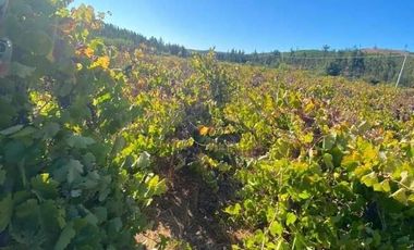 Sitio en Venta en I-566