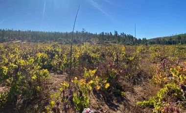 Sitio en Venta en I-566