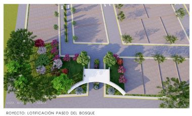 GRANDIOSA OPORTUNIDAD DE TERRENOS EN BERRIOZABAL, CHIAPAS