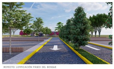 GRANDIOSA OPORTUNIDAD DE TERRENOS EN BERRIOZABAL, CHIAPAS