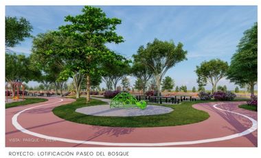 GRANDIOSA OPORTUNIDAD DE TERRENOS EN BERRIOZABAL, CHIAPAS