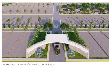 GRANDIOSA OPORTUNIDAD DE TERRENOS EN BERRIOZABAL, CHIAPAS