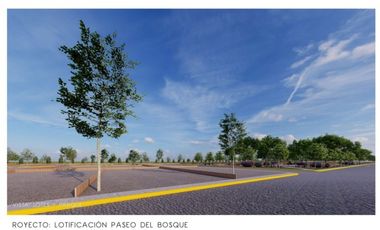 GRANDIOSA OPORTUNIDAD DE TERRENOS EN BERRIOZABAL, CHIAPAS