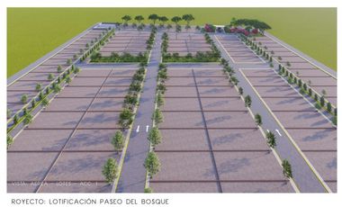 GRANDIOSA OPORTUNIDAD DE TERRENOS EN BERRIOZABAL, CHIAPAS