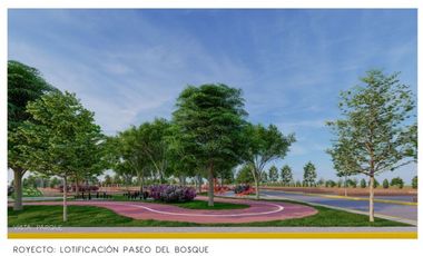 GRANDIOSA OPORTUNIDAD DE TERRENOS EN BERRIOZABAL, CHIAPAS