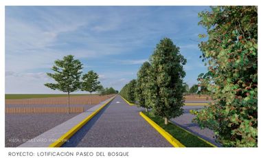 GRANDIOSA OPORTUNIDAD DE TERRENOS EN BERRIOZABAL, CHIAPAS