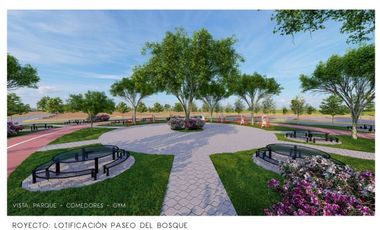 GRANDIOSA OPORTUNIDAD DE TERRENOS EN BERRIOZABAL, CHIAPAS