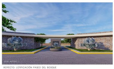 GRANDIOSA OPORTUNIDAD DE TERRENOS EN BERRIOZABAL, CHIAPAS