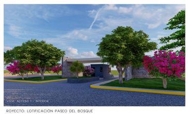 GRANDIOSA OPORTUNIDAD DE TERRENOS EN BERRIOZABAL, CHIAPAS