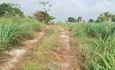 TERRENO MUY AMPLIO PARA QUE TUS SUEÑOS SE HAGAN REALIDAD