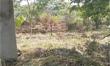 TERRENO MUY AMPLIO PARA QUE TUS SUEÑOS SE HAGAN REALIDAD