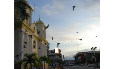 TERRENO COMERCIAL BIEN UBICADO EN TAPACHULA, CHIAPAS.