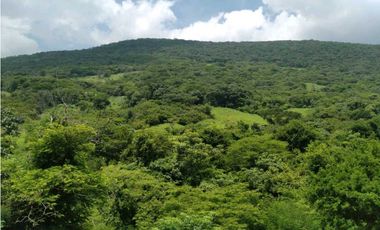 EXTENSO RANCHO EN LA GRANDEZA, CHIAPAS