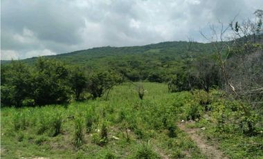 EXTENSO RANCHO EN LA GRANDEZA, CHIAPAS