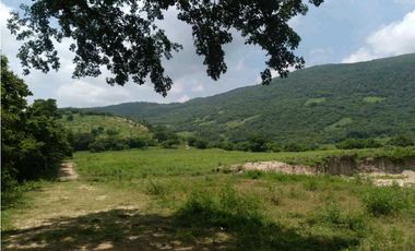 EXTENSO RANCHO EN LA GRANDEZA, CHIAPAS