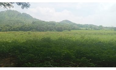 LA VIDA SIMPLE EN ESTE RANCHO EN JIQUIPILAS, CHIAPAS TE ESPERA