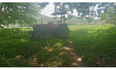 LA VIDA SIMPLE EN ESTE RANCHO EN JIQUIPILAS, CHIAPAS TE ESPERA
