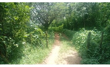 LA VIDA SIMPLE EN ESTE RANCHO EN JIQUIPILAS, CHIAPAS TE ESPERA