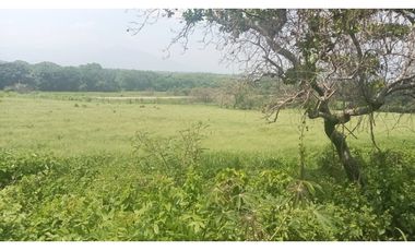 LA VIDA SIMPLE EN ESTE RANCHO EN JIQUIPILAS, CHIAPAS TE ESPERA