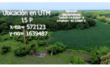 GRAN POTENCIAL PARA INVERSORES RUMBO  A PUERTO MADERO TAPACHULA