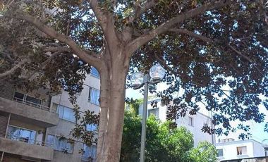 Bellavista, A pasos de Providencia,  Santiago