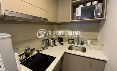 METRO SANTA ANA Y CAL Y CANTO, PANAMERICANA, COSTANERA NORTE