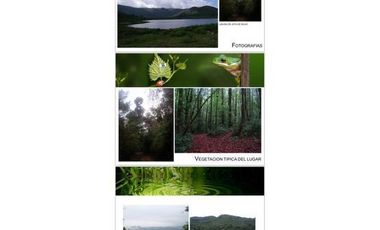 TERRENO EN VENTA TAMAULIPAS EL ENCANTO