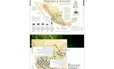 TERRENO EN VENTA TAMAULIPAS EL ENCANTO