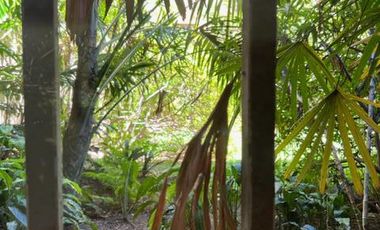 Edificio Comercial - Microcentro