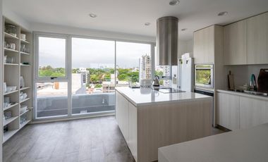 PENTHOUSE EN DOMUS 2222