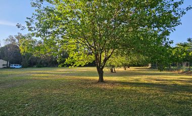 Casa quinta en venta - 2 Dormitorios 1 Baño - 10.971Mts2 - Cañuelas