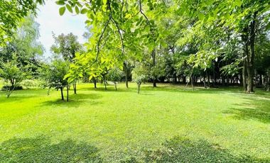 Casa quinta en venta - 2 Dormitorios 1 Baño - 10.971Mts2 - Cañuelas