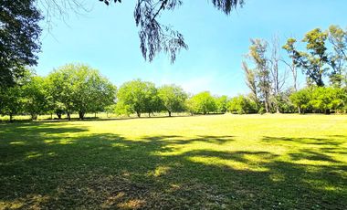 Casa quinta en venta - 2 Dormitorios 1 Baño - 10.971Mts2 - Cañuelas