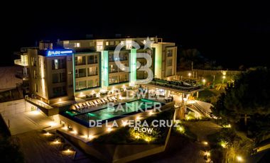 Departamento con vista al mar, Las gaviotas.