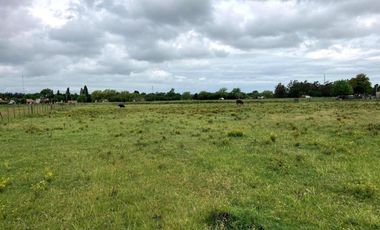 Campo en venta - 32.874Mts2 - Mechongue, General Alvarado