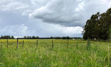 Campo en venta - 32.874Mts2 - Mechongue, General Alvarado