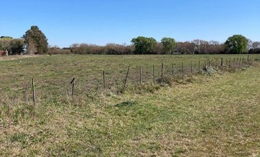 Campo en venta - 32.874Mts2 - Mechongue, General Alvarado